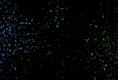 Koyu mavi, yeşil vektör el boyaması arka plan. Rengarenk yapraklı doğal bir desen. Paketleme için el boyası tasarımı, duvar kağıdı.