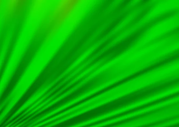 Φως Πράσινο Διάνυσμα Θολή Και Χρωματιστό Πρότυπο — Διανυσματικό Αρχείο