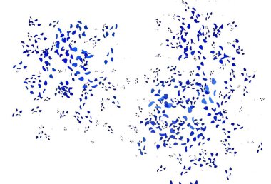 Koyu mavi, soyut şekilli kırmızı vektör arkaplan. Renkli rastgele şekillerle modern soyut illüstrasyon. Bir cep telefonu için arka plan.