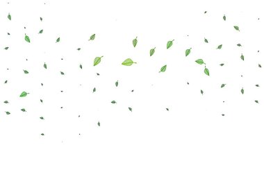 Açık yeşil vektör çizim dokusu. Renkli yapraklı eskiz karalamalar. İş tasarımınız için yeni şablon.