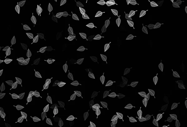 Plata Oscura Diseño Garabatos Vectoriales Grises Patrón Con Hojas Color — Archivo Imágenes Vectoriales