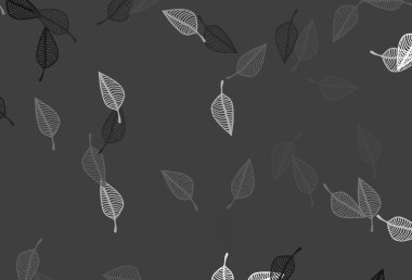 Light Silver, Gray vektör çizim arkaplanı. Yapraklarla gösterişli soyut çizimler. Web, broşür ve tekstil için el yapımı tasarım..
