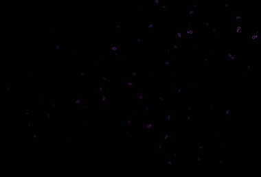 Koyu mor vektör deseni ve cinsiyet unsurları. Renkli cinsiyet sembollü soyut illüstrasyon. Randevu siteleri için temel tasarım.