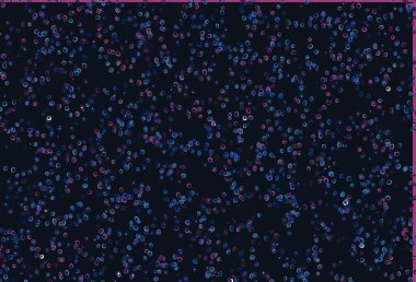 Açık Pembe, daireli mavi vektör şablonu. Soyut arka planda bulanık kabarcıklar ve renkli gradyan. Marka kitabınız için şablon.