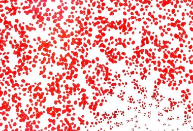 Bükülmüş çizgileri olan açık kırmızı vektör arkaplanı. Mermer biçiminde yaratıcı geometrik çizim ve gradyan. İşiniz için en iyi bulanık tasarım..