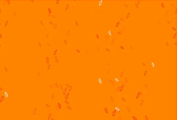 Világos Narancs Vektor Vázlat Minta Kreatív Illusztráció Egyszerű Stílusban Levelekkel — Stock Vector