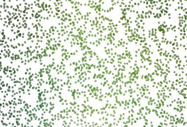 Noktalı açık yeşil vektör arkaplanı. Daireleri olan güzel renkli illüstrasyon 