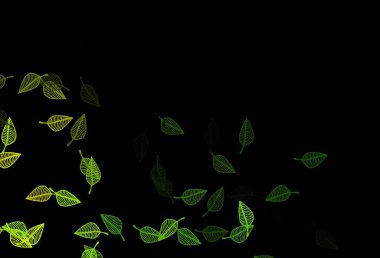 Koyu mavi, sarı vektör karalama örtüsü. Yapraklarla gösterişli soyut çizimler. Boyama kitapları ve çocuklar için sayfalar.