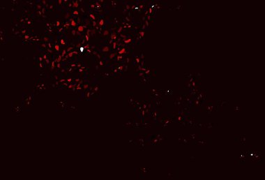 Geometrik soyut arkaplan, vektör illüstrasyonu