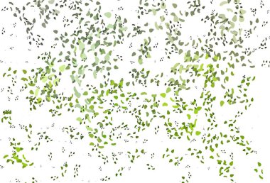 Soyut şekilli açık yeşil vektör arkaplanı. Soyut gradyan şekilli basit renkli çizimler. Kartvizitiniz için modern tasarım.