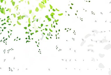 Soyut formlarla açık yeşil vektör arkaplanı. Renkli rastgele şekillerle modern soyut illüstrasyon. Web siteniz için basit tasarım.