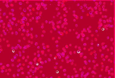 Açık Mor, daireli pembe vektör şablonu. Soyut arka planda bulanık kabarcıklar ve renkli gradyan. Posterler, afişler için tasarım.