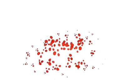 Sıvı şekilli açık kırmızı vektör deseni. Eğilimli zarif, parlak bir çizim. İş tasarımınız için mermer biçimi.