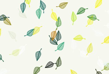 Açık yeşil, sarı vektör karalama dokusu. Yaprakları karalama tarzında renkli ve soyut çizimler. Web sitesi yöneticileri ve tasarımları için desen.