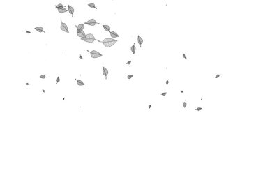 Açık siyah vektör çizimi. Yaprakları karalama tarzında parlak renkli bir illüstrasyon. Marka kitabınız için yeni şablon.