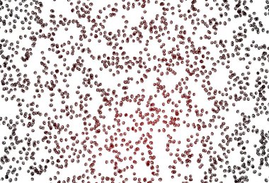 Küreli açık kırmızı vektör deseni. Parlak renkli soyut çemberlerin olduğu bir resim. Posterler, afişler için tasarım.