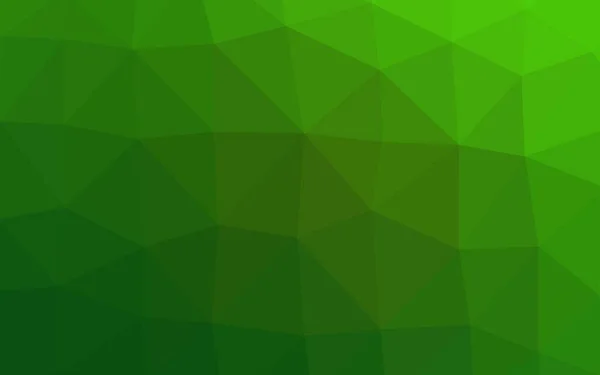 Vector Verde Claro Cubierta Poli Baja — Vector de stock