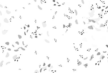 Açık gümüş, soyut formlu gri vektör arkaplan. Modern tarzda değişen renkli kaotik formlar. Kartvizitiniz için modern tasarım.