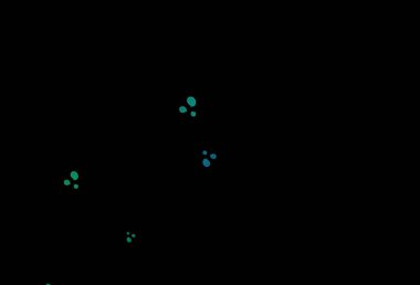 Koyu mavi, soyut çizgileri olan yeşil vektör şablonu. Bulanık geometrik örnek ve eğimli kabarcıklar. Marka kitabı için zarif desen.