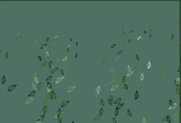 Светло Зеленый Вектор Окрашенный Вручную Патиссоны Цветными Листьями Натуральном Стиле — стоковый вектор