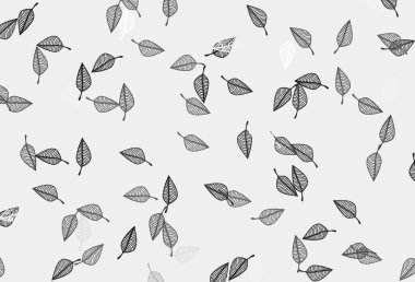 Light Silver, Gray vektör çizim arkaplanı. Yapraklarla karalama tarzında renkli çizimler. İşiniz için en iyi bulanık tasarım..