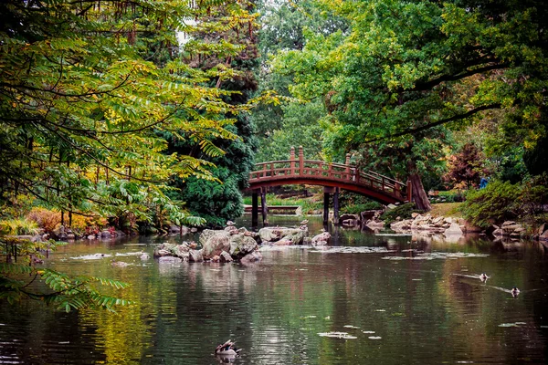 Publiczny park Zdjęcie Stockowe