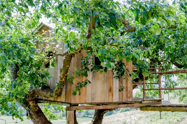 Cabane dans les arbres — Photo