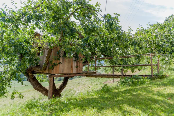 Treehouse — Stock Photo, Image