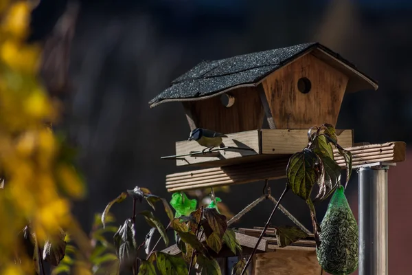 Vogelhaus - Vogelhaus im Herbst — Stockfoto