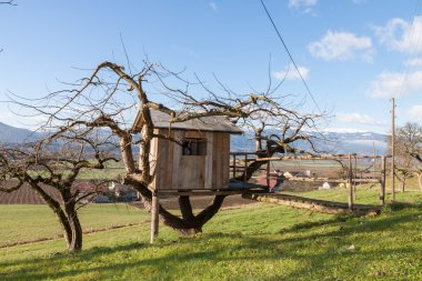 Ağaç evi - yazlık - çiftlik