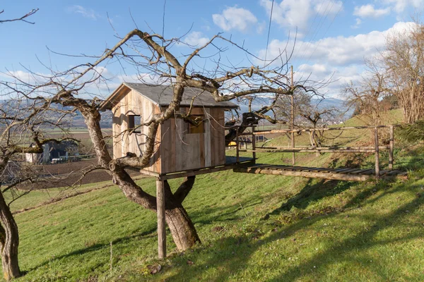 Tree House - Farm — стоковое фото