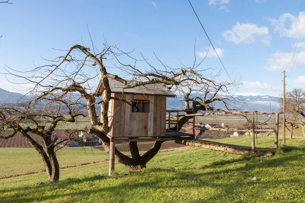 Maison de l'arbre - Chalet - Ferme — Photo