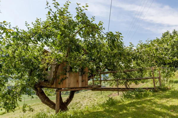 Tree House - Cottage - Farm — Stock Photo, Image