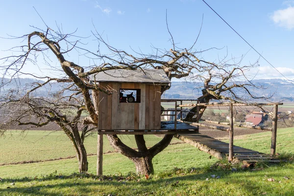 Tree House - Cottage - Farm — Stock Photo, Image