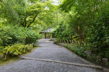 Bahçe Tenryu-ji Tapınağı, Kyoto, Japonya
