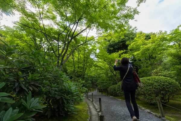 Eine Frau, die ein Foto im Garten des tenryu-ji-Tempels macht, kyoto, jap — Stockfoto