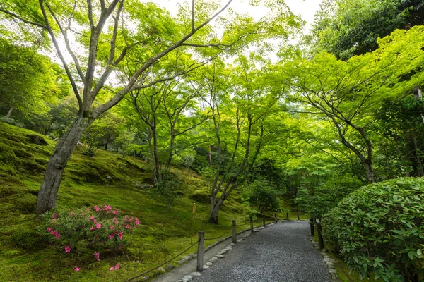 Jardin au Temple Tenryu-ji, Kyoto, Japon — Photo