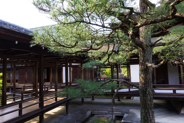 Tradiční japonské vchodu do chrámu v Kjótu, Japonsko — Stock fotografie