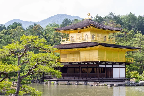 Kinkakuji-Tempel, goldener Pavillon — Stockfoto