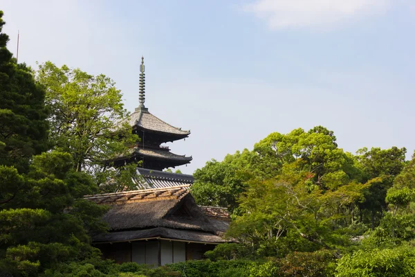 Temple Ninnaji à Kyoto, Japon Images De Stock Libres De Droits