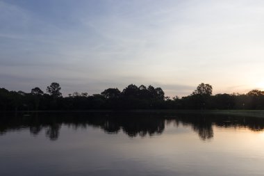 Rezervuar ağaçlarının gölgeleri yansıması ile