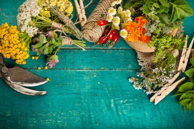 Ahşap zemin üzerine yaz taze şifalı otlar.