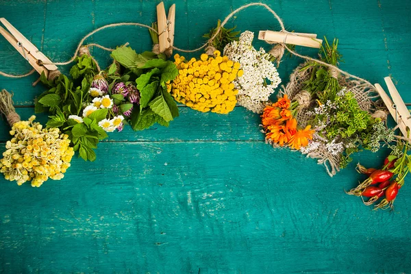 Ahşap zemin üzerine yaz taze şifalı otlar.