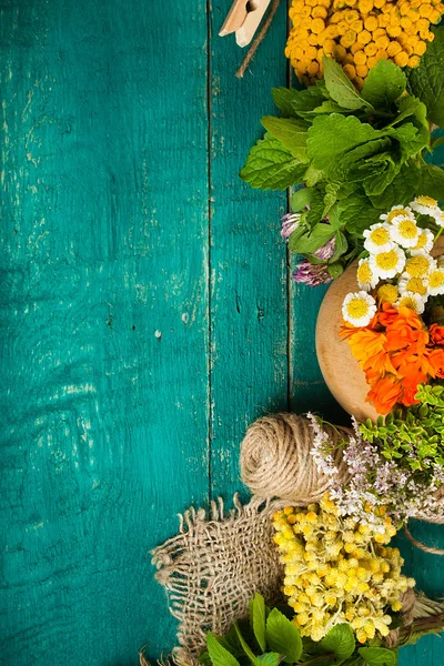 Verão ervas medicinais frescas no fundo de madeira . — Fotografia de Stock