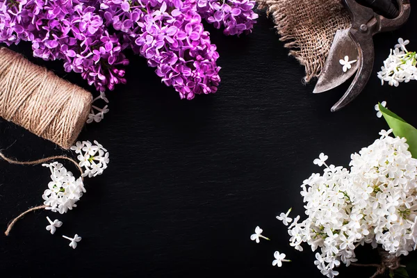 Achtergrond van het voorjaar met verse bloemen Lila op een zwarte achtergrond — Stockfoto