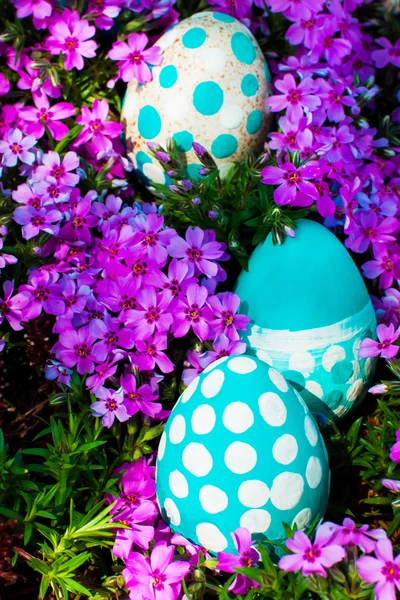 Пасхальные яйца на цветущем лугу. селективный фокус — стоковое фото