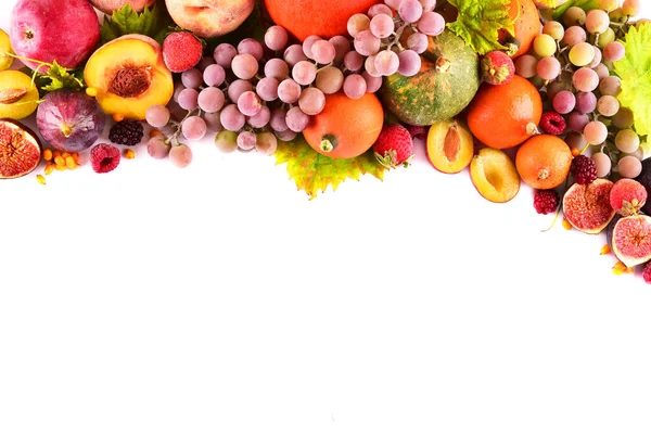 Autumn Background Still Life Multicolored Fruits Place Text — Stock Photo, Image