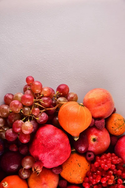 多色の果物の秋の背景にはまだ生活 テキストの場所 — ストック写真
