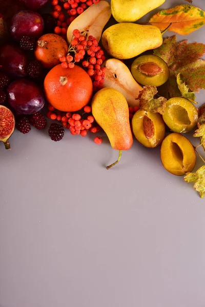 Fondo Otoñal Bodegón Frutas Multicolores Lugar Para Texto —  Fotos de Stock
