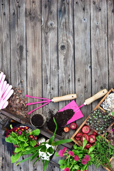 Attrezzi Giardino Fiori Fertilizzanti Semi Attrezzi Giardino Uno Sfondo Legno — Foto Stock